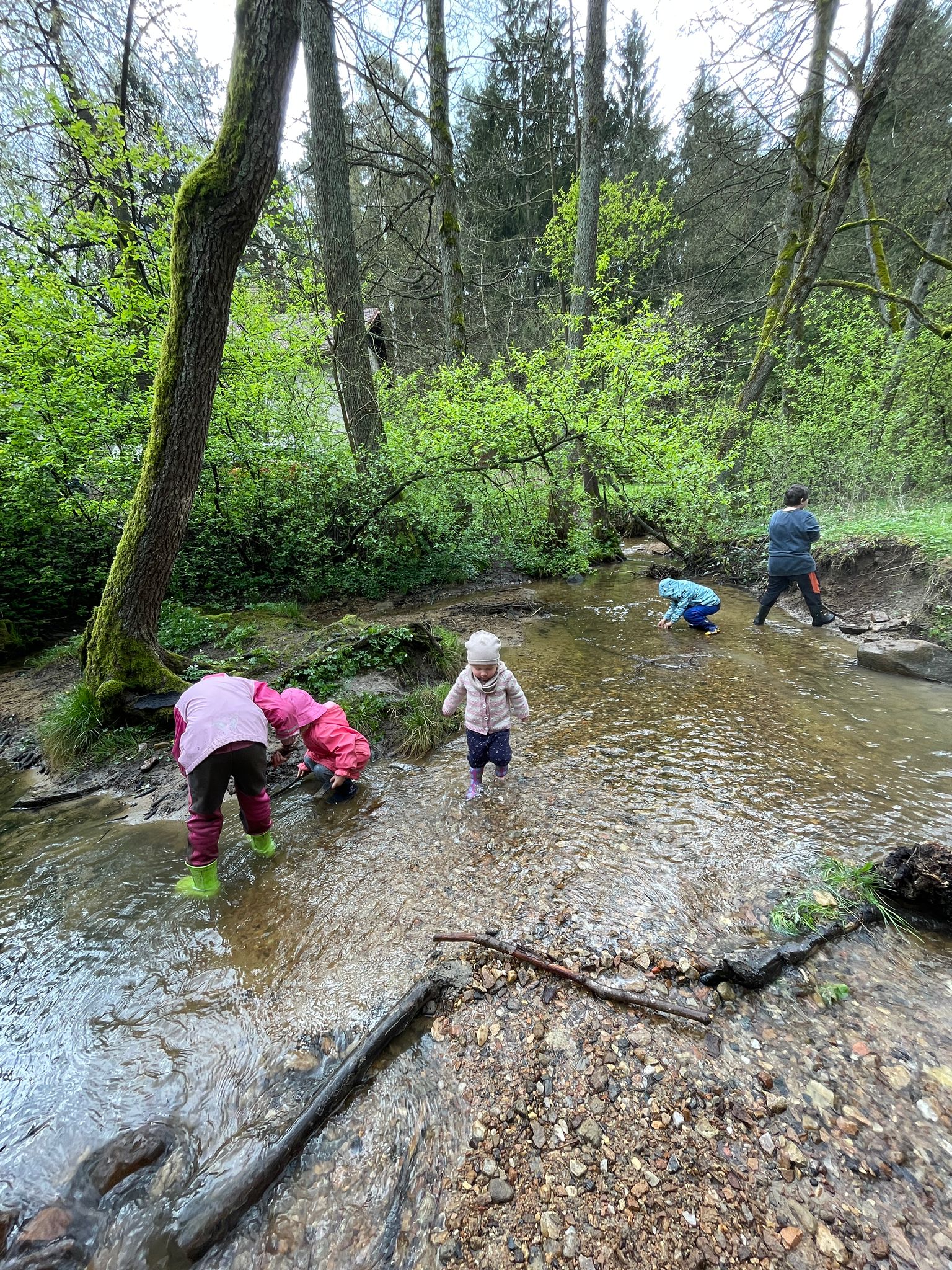 Studánková slavnost 2024