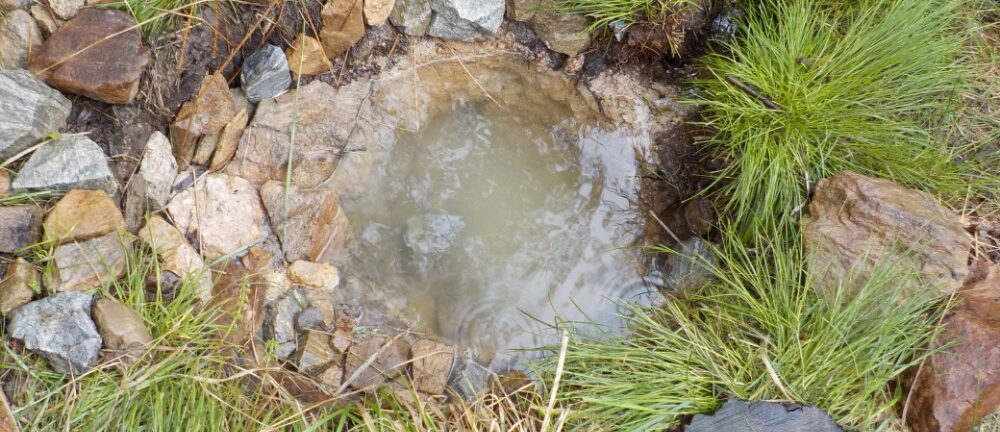 Studánková slavnost Želichov